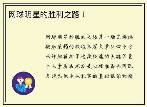 网球明星的胜利之路 !