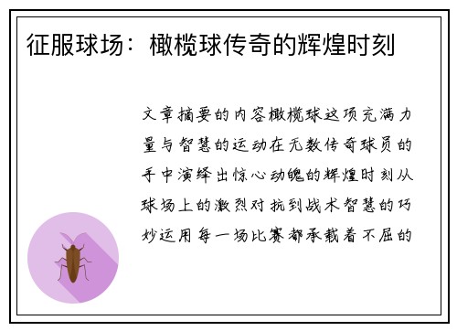 征服球场：橄榄球传奇的辉煌时刻